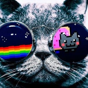 Meet your Posher, Timothy